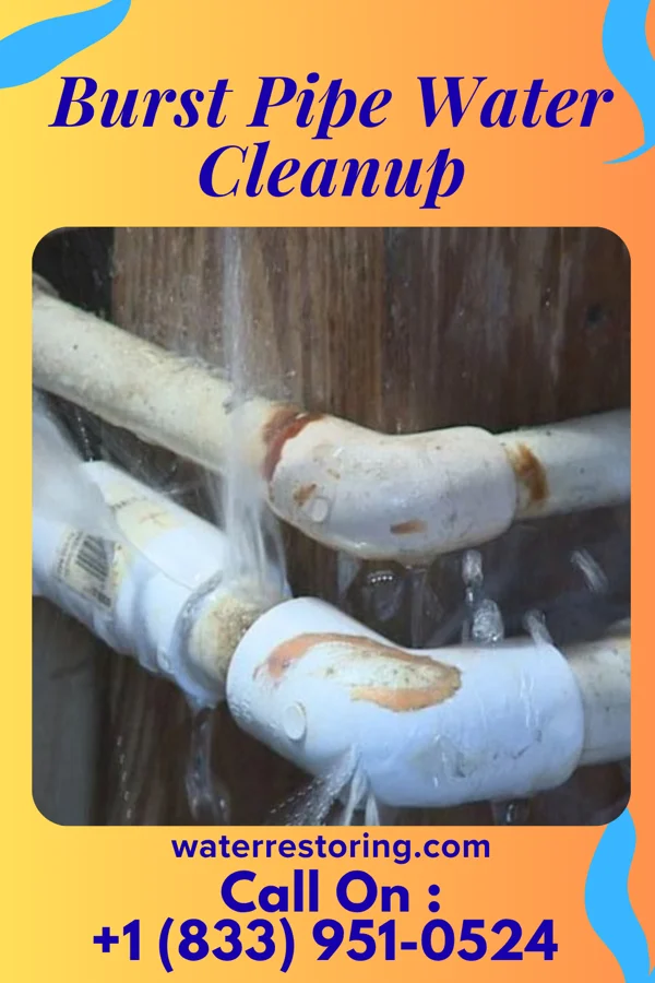 Burst Pipe Water Cleanup in Hollidaysburg, PA
