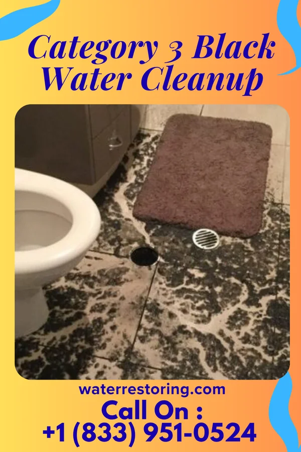 Category 3 Black Water Cleanup in Hollidaysburg, PA