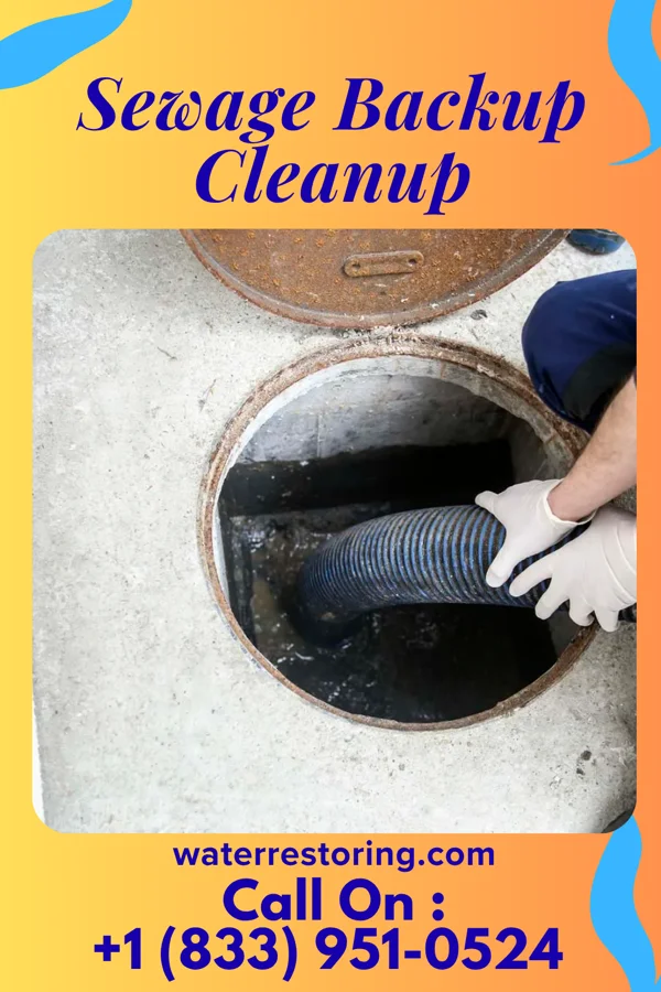 Sewage Backup Cleanup in Hollidaysburg, PA